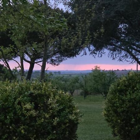 Gite De Beausoleil La Romieu Εξωτερικό φωτογραφία