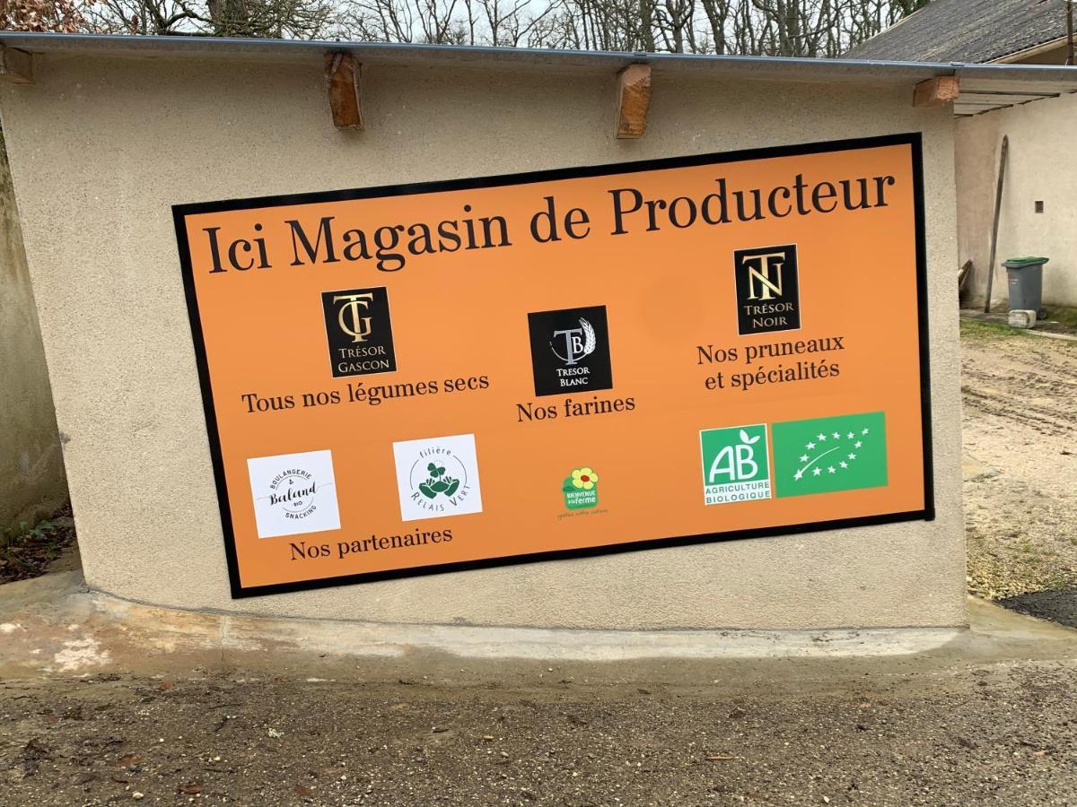 Gite De Beausoleil La Romieu Εξωτερικό φωτογραφία