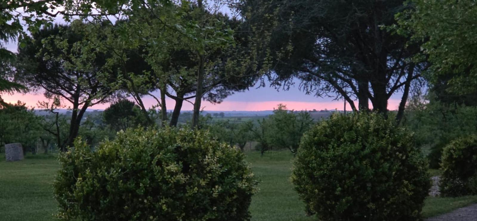 Gite De Beausoleil La Romieu Εξωτερικό φωτογραφία